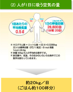 【図】人が1日に吸う空気の量：約20kg/日（ごはん約100杯分）